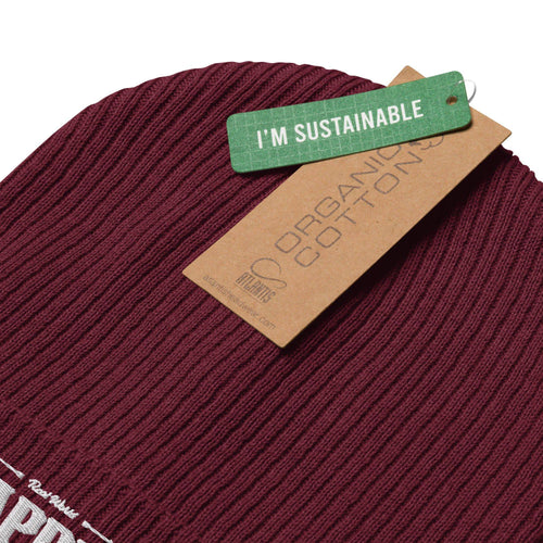 Load image into Gallery viewer, Burgundy AKA Beanie - AKA Apparel

