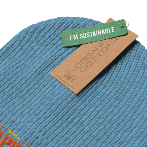 Load image into Gallery viewer, Light Blue AKA Beanie - AKA Apparel
